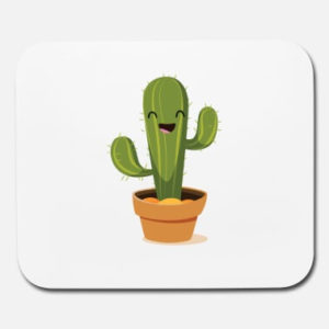 A Cactus Approach to Investing